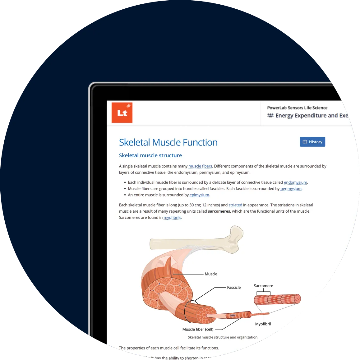 Lt Online Learning Platform