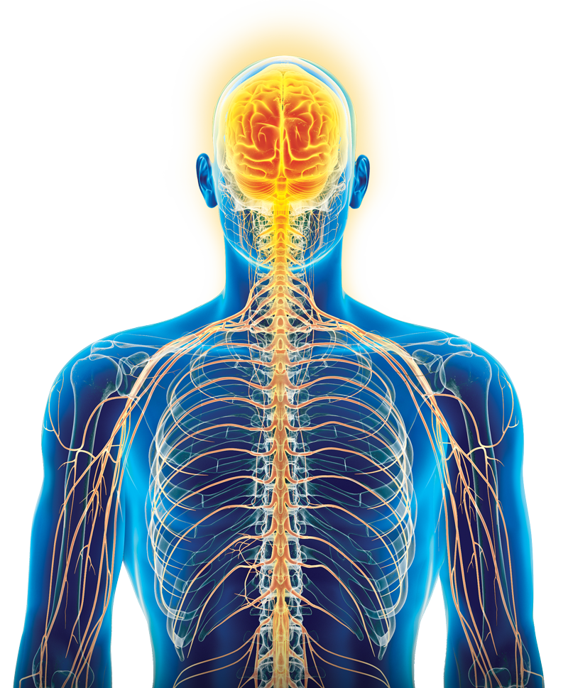 Autonomic ADInstruments