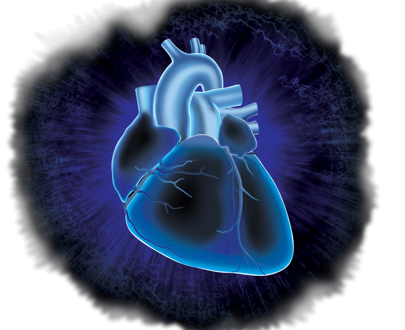 Cardiovascular ADInstruments