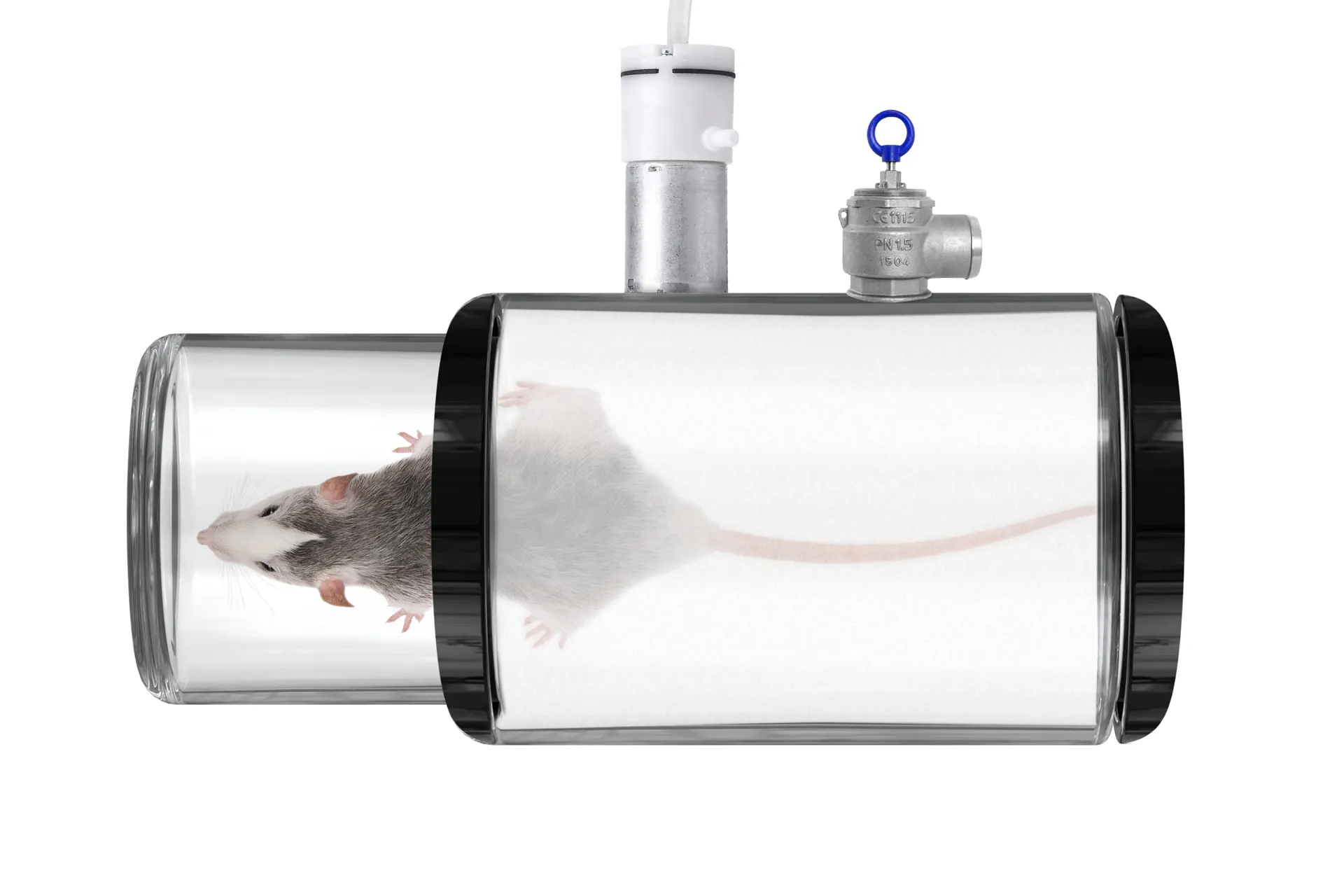 vacuum chamber mock-up