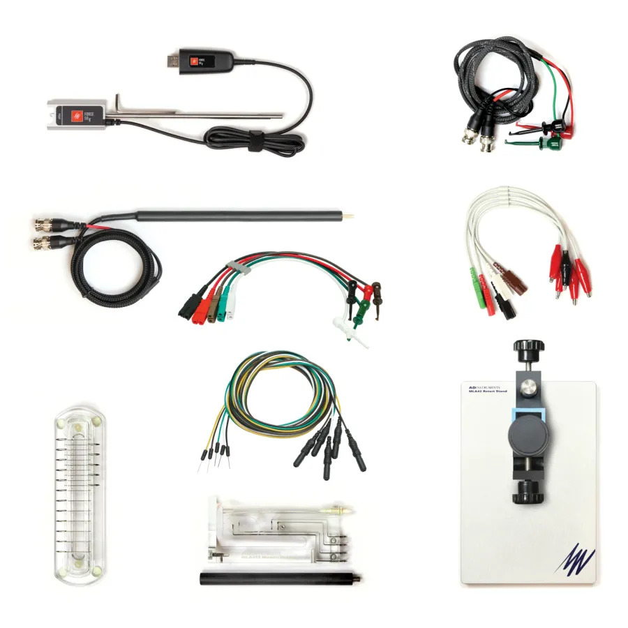 Nerve And Muscle Kit V