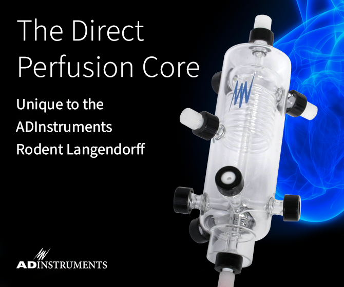 Langendorff Direct Perfusion Core Blog