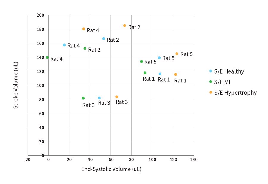 Admittance PV catheter | Impact of Parallel conductance (volume) calibration on ESV