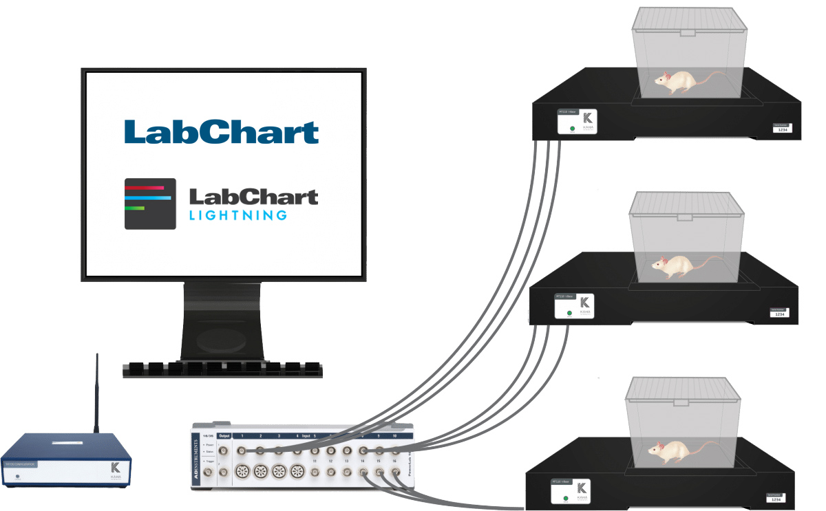 Diagram of Kaha, PowerLab and LabChart system